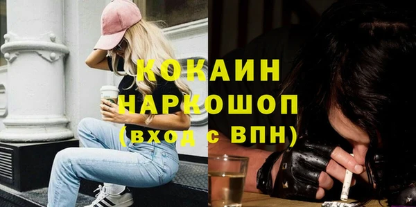 хмурый Алзамай