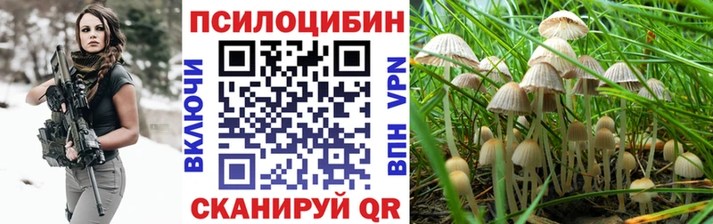 цены   Ухта  Галлюциногенные грибы Cubensis 