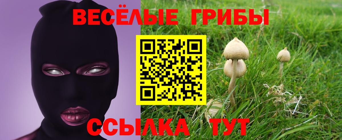 Ухта  Галлюциногенные грибы ЛСД  Вход с VPN  Псилоцибиновые грибы мицелий 